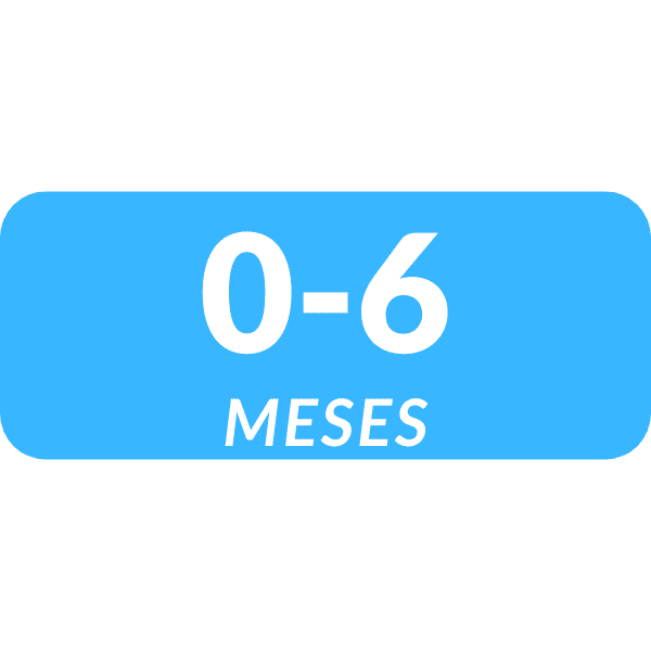 0 a 6 Meses