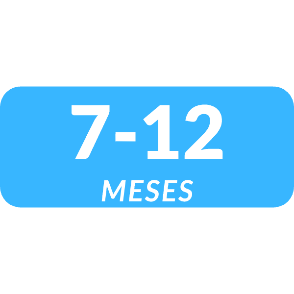 7 a 12 Meses