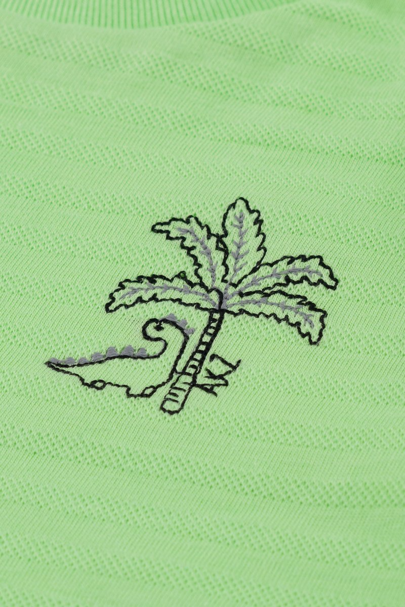Conjunto Bebê Menino Camiseta e Bermuda Alakazoo Verde