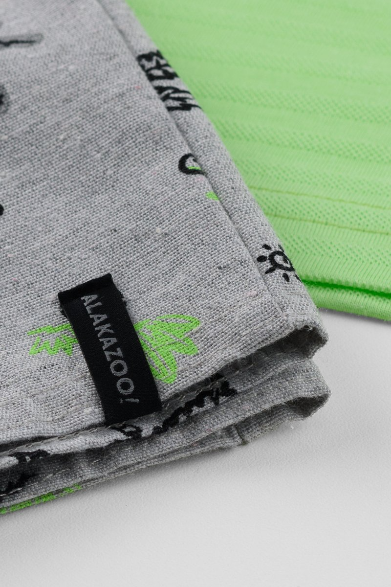 Conjunto Bebê Menino Camiseta e Bermuda Alakazoo Verde