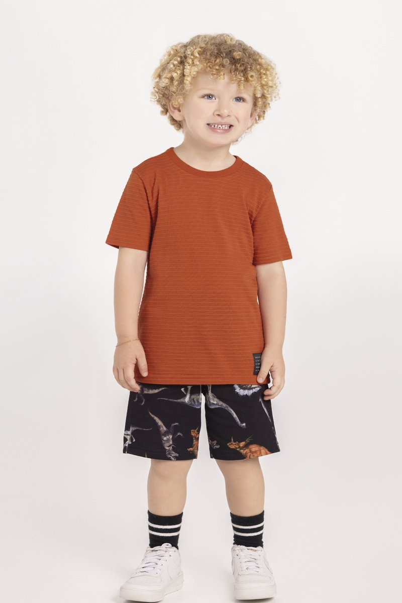 Conjunto Infantil Menino Bermuda Dinos Alakazoo Laranja